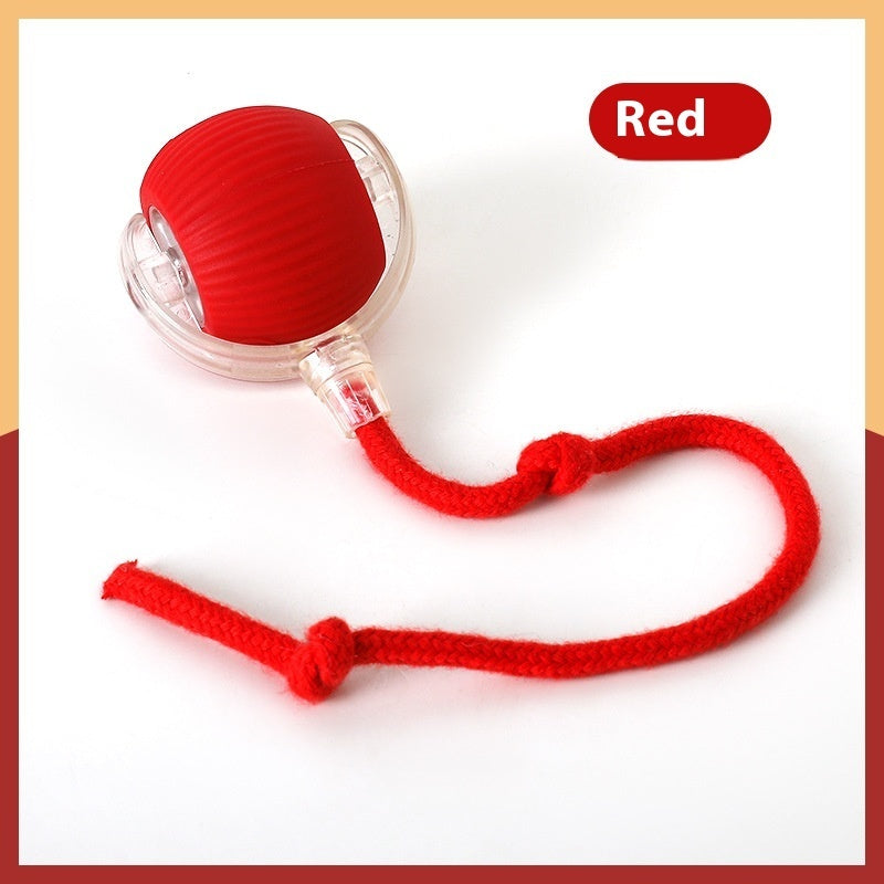 The Smart Auto-Rolling Cat Toy