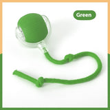 The Smart Auto-Rolling Cat Toy