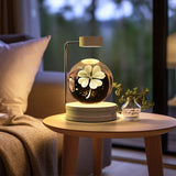 Ambient Cosmic Dino Night Light
